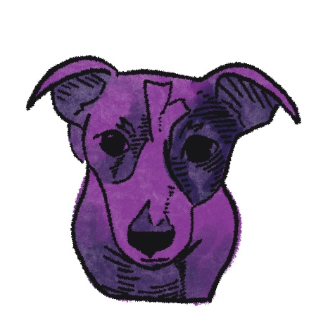 Frankie Don't Drown Logo - a dog (Frankie)